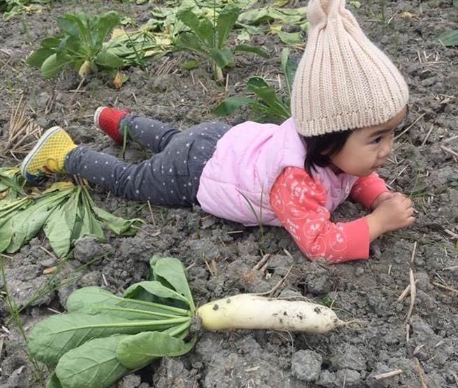 台東縣關山鎮千人拔蘿蔔活動8日上午熱鬧登場，孩子們開心體驗地方盛事，大呼「很好玩，還不想回家」。（民眾提供／蔡旻妤台東傳真）