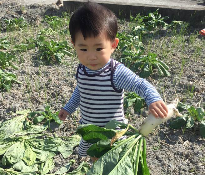 台東縣關山鎮千人拔蘿蔔活動8日上午熱鬧登場，孩子們開心體驗地方盛事，大呼「很好玩，還不想回家」。（民眾提供／蔡旻妤台東傳真）