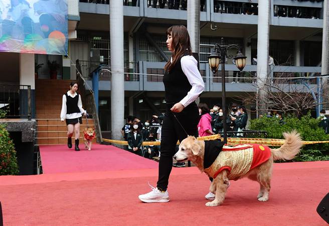侨泰高中日前举行全校社团成果展暨迎新演唱会，其中宠物经营科的「喜迎新春宠物走秀」活动，相当吸睛。（侨泰高中提供／黄国峰台中传真）