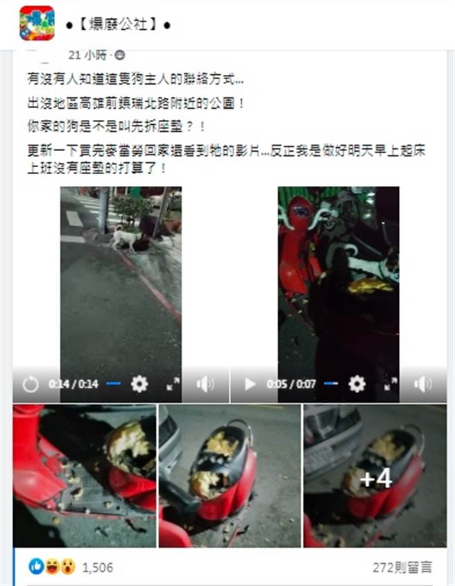 有网友po出机车坐垫被咬烂的影片和照片。(图／翻摄自 爆废公社) 