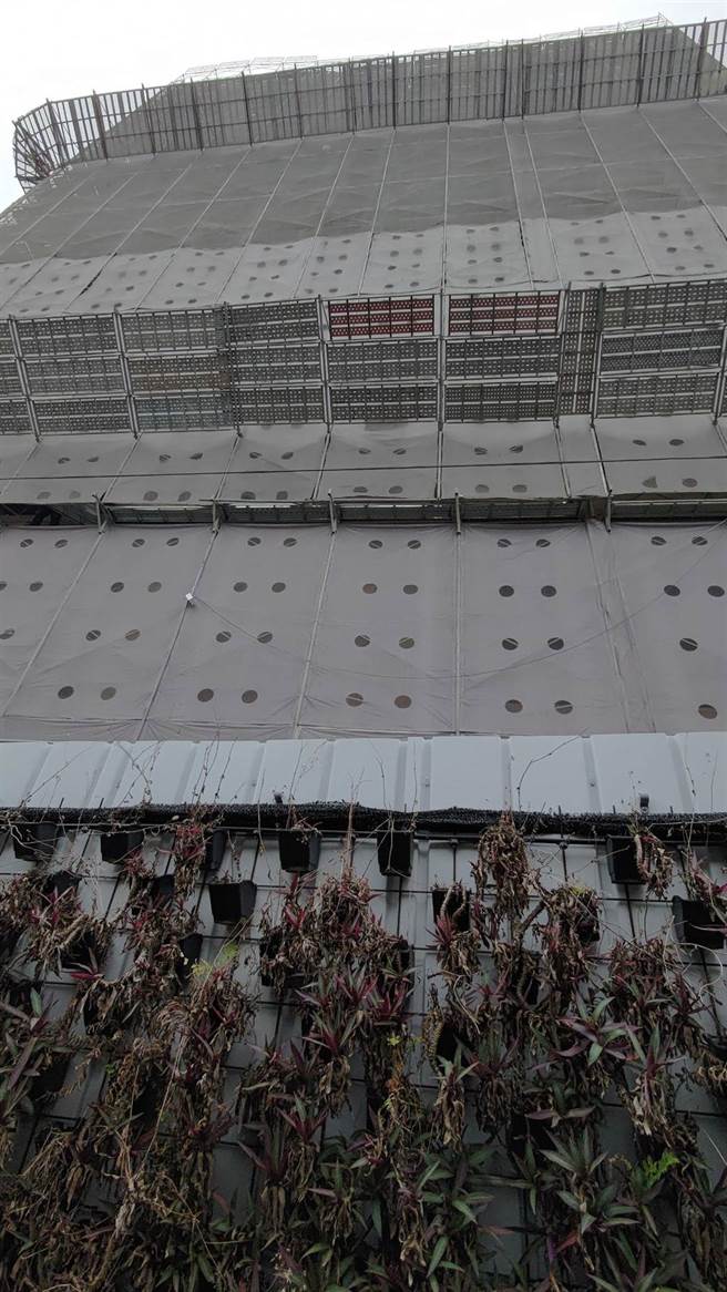 北市士林区华声街发生铁条掉落砸伤60岁妇人的意外。（图／民眾提供翻摄画面）