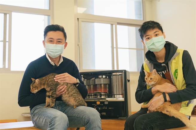 新竹市政府2022年將持續辦理認養毛孩送寵物險計畫，並將適用範圍加碼擴大至成年浪貓，名額有限動作要快。（陳育賢攝）