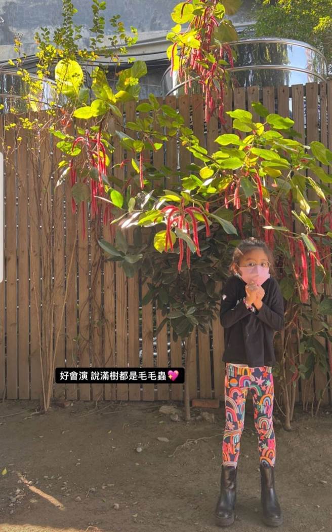 咘咘拥有大长腿，6岁就122公分超出平均值。（图／翻摄自IG）