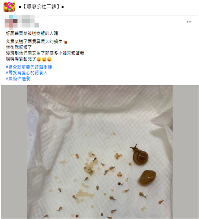 1名網友日前在青菜中發現2隻蝸牛，好奇之下細心照料，沒想到日後蝸牛竟生出2、30隻的小蝸牛，讓他笑說「沒想到他們倆又生了那麼多小蝸來報答我」。（翻攝自臉書「爆廢公社二館」）