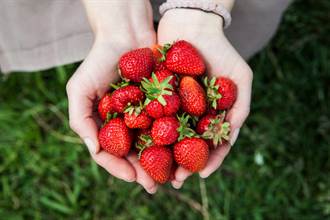 防癌又抗發炎！8顆草莓就能補足一天維生素C