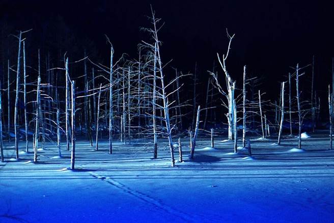 ▲积雪后的青池带有十足神秘感，每年仅这段期间能欣赏！　图：日本旅行情报局／提供