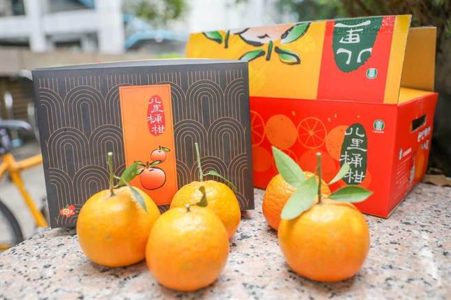 八里桶柑上市　又紅又圓迎新春（農業局提供／戴上容新北傳真）