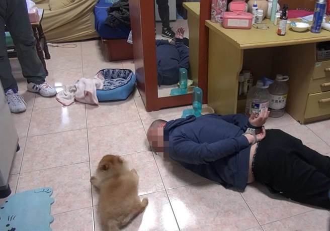 寵物犬「乖乖」見主人趴下，立即貼在地上不敢動，跟著主人一起投降。（台中市警察局提供／張妍溱台中傳真）