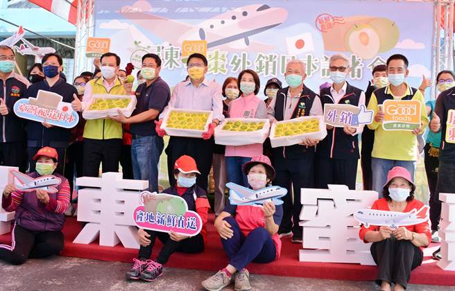 屏東蜜棗成功外銷日本，打響新春第一炮。（林和生攝）