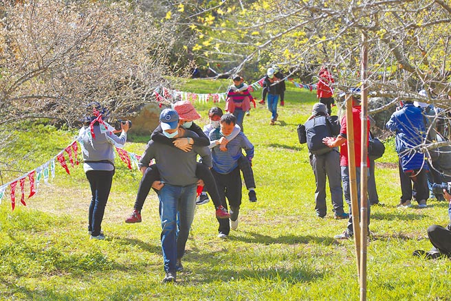 南投9日举办「亲子同乐橡木桶」、「甜蜜负担夫妻背负」竞赛活动，一对对夫妻卖力奔跑，优胜就能拿到金牌马拉桑乌梅酒。（农会提供／吴建辉南投传真）提醒你：喝酒不开车