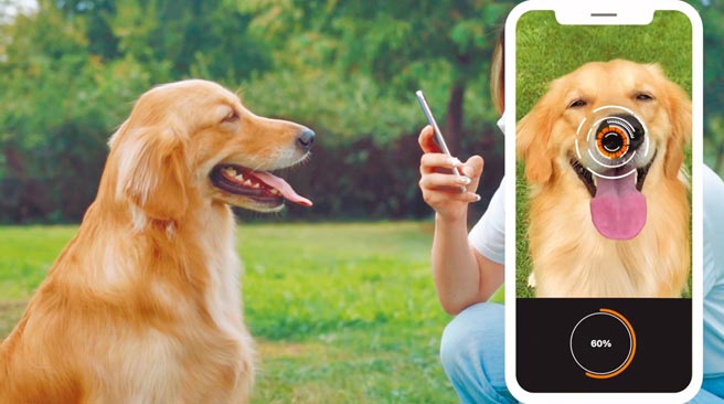识别狗鼻纹Petnow The Nose Print Identification App for Dogs - Petnow Inc.（摘自Petnow Inc. YouTube频道）