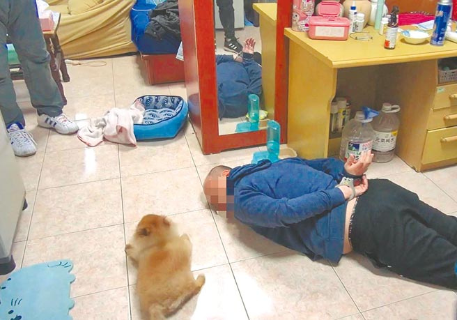 台中警方抓宋姓毒梟，大喊「趴下」，一旁狗兒子「乖乖」見狀，立即貼在地上不敢動，彷彿跟著主人一起投降。（台中市警察局提供／張妍溱台中傳真）