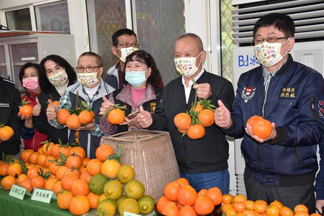 苗栗縣徐耀昌12日在獅潭鄉推銷獅潭鄉桶柑。（謝明俊攝）