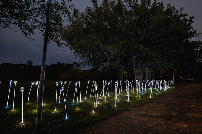 卫武营都会公园的作品配合环境策画，带给位于都会中心的黑森林不同于以往灯会的灯光地景艺术。图为作品「植光花」。(图片提供/高雄市政府观光局)