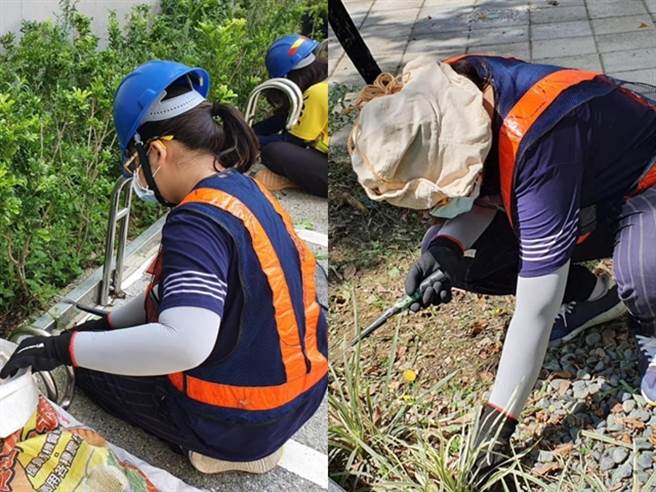 母亲为让国三女儿知道父母苦心祭出狠招，竟是让女儿去「劳改」拔杂草赚钱，女儿一整天在大热天拔草赚了800元，事后女儿吓坏向母亲发誓会好好练琴。（翻摄自脸书「爆废公社」）