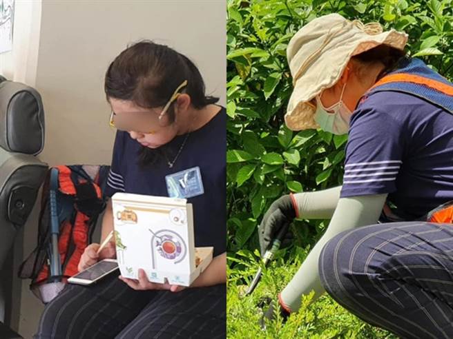 母亲为让国三女儿知道父母苦心祭出狠招，竟是让女儿去「劳改」拔杂草赚钱，女儿一整天在大热天拔草赚了800元，事后女儿吓坏向母亲发誓会好好练琴。（翻摄自脸书「爆废公社」）