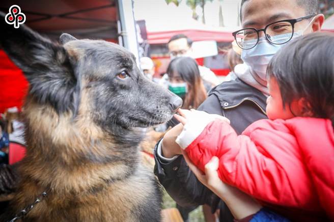 动保团体表示，很遗憾这次修宪公听会没有动物的声音，呼吁国会尊重与重视动物福利，让动物权入宪。（本报系资料照）