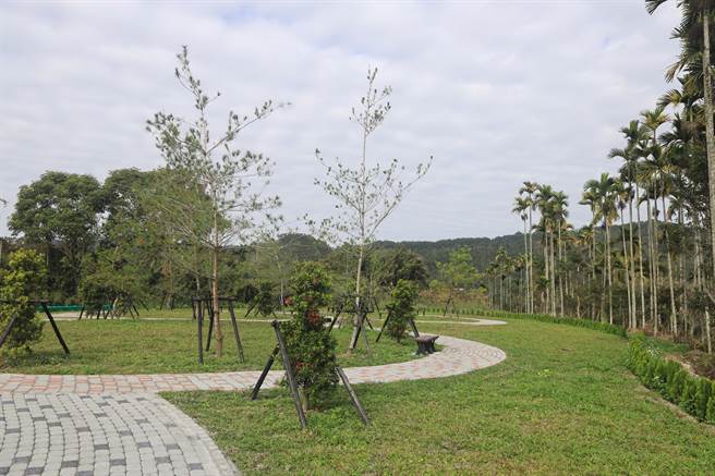 南投县鱼池乡公所为活化土地，将禁葬的鱼池11公墓改造成千坪公园，透过全面植树及绿化，让民眾多一个可以休閒游憩的公园。(公所提供／吴建辉南投传真)
