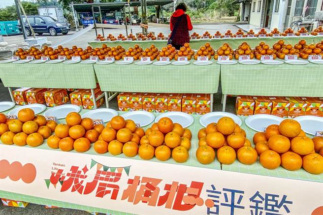 峨眉鄉農會桶柑評鑑競賽，評審針對果形外觀、糖度、水分含量等進行評分。（羅浚濱攝）