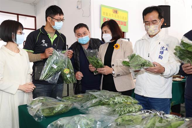 斗南青銀基地團隊最近在協助青農、中高齡農民種植機能型蔬菜。（周麗蘭攝）
