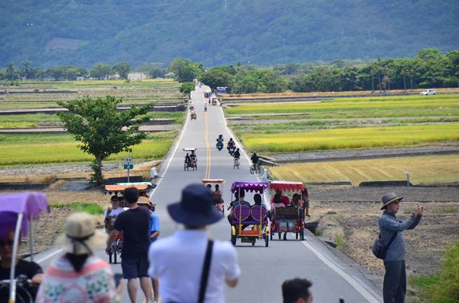 台东县池上伯朗大道、关山镇亲水公园禁行车辆，不少游客却将租赁电动3轮车违规骑上公路。（本报资料照片）