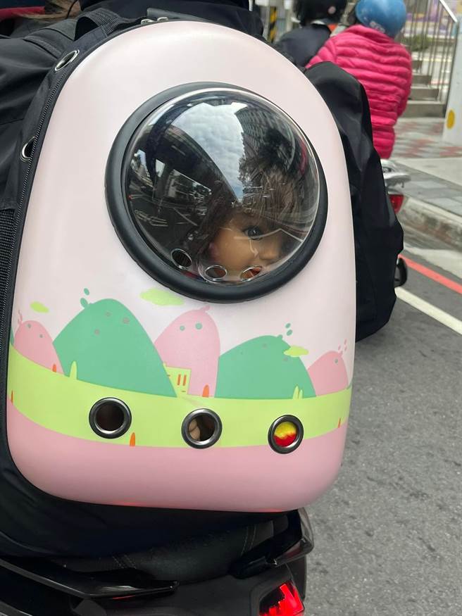 网友发现前方机车骑士正背着宠物专用的后背包，以为里头是猫咪，结果看见透明外壳内竟是「1张人脸」，原来是1只洋娃娃，他笑说「差点没被吓死」。（翻摄自脸书「爆废公社公开版」）