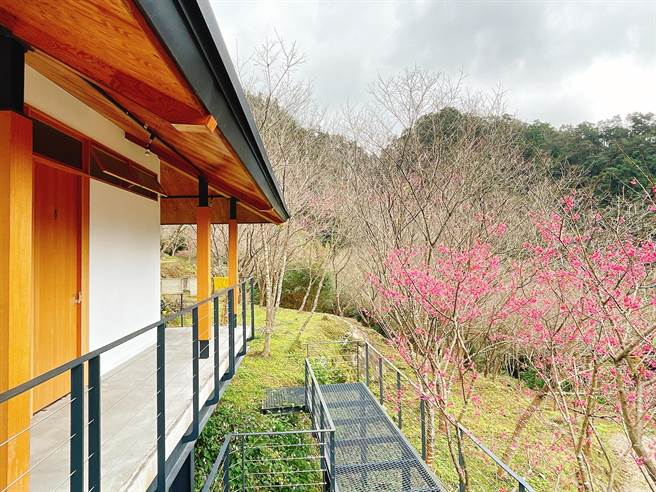 旅日设计师经营的森露台野营场，在试营运期间获得好口碑。（吴娮翎摄）