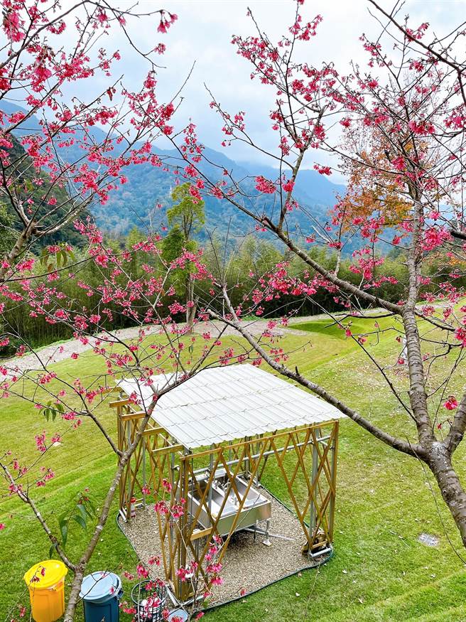 森露台野营场内有日式设计洗手台，搭配樱花相得益彰。（吴娮翎摄）