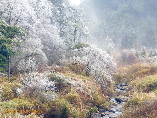 强烈大陆冷气团袭台，位于台中、宜兰交界的「思源垭口」海拔高度1948公尺，因地处背风面，12日清晨低温下探零度，蓄积山林间的水气瞬间冰冻。（胡发韬提供／王文吉传真）