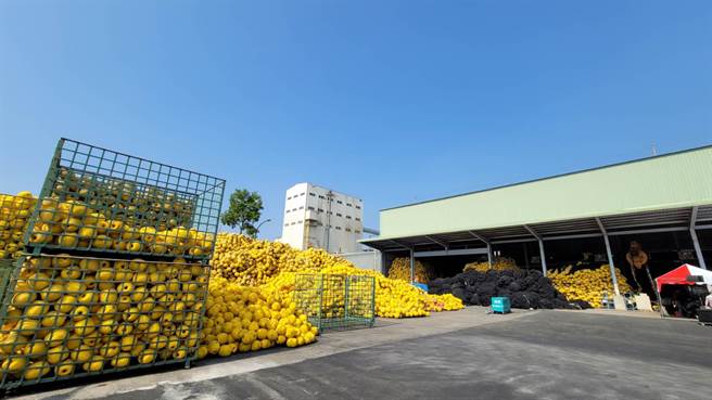 台化强调，以海洋尼龙为材料回收再制的己内酰胺，较石化提炼的新鲜己内酰胺可节电15％、减碳排49％。(王莫昀摄)