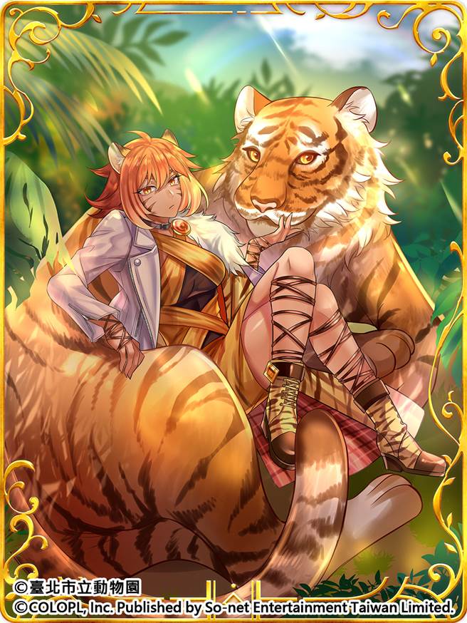  丛林中的霸主 孟加拉虎   