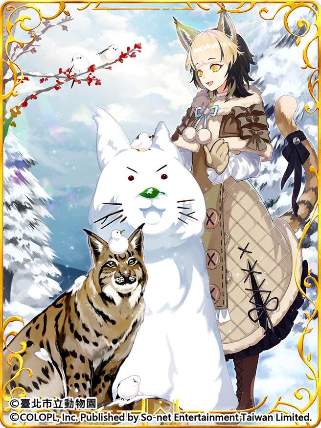 雪山中的贵族 欧亚大山猫