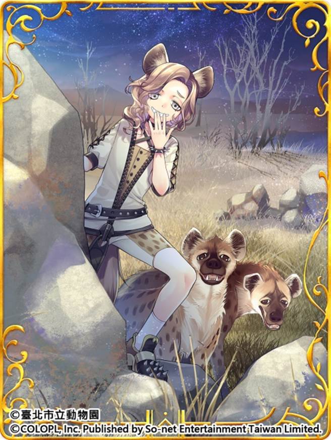 成群结队的猎捕者 斑点鬣狗