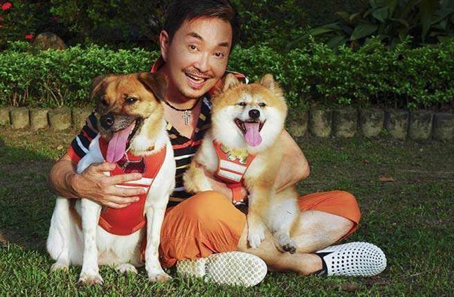 杨怀民将救援流浪狗视为人生志业，两年内付出四千万元积蓄。（图／中时资料照）