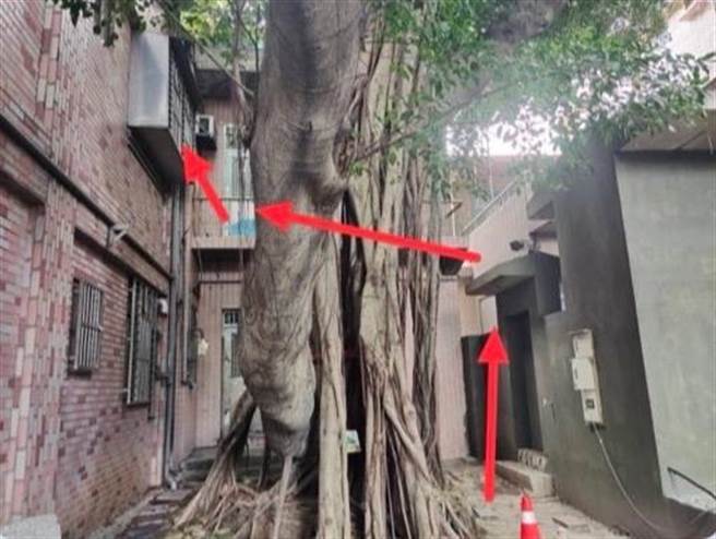 46岁许姓男子见公园旁的住宅正在施工，藉由1楼围墙攀爬至隔壁公寓2楼入屋行窃。（翻摄画面）