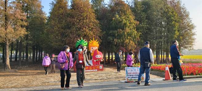 冷气团南下，台南六甲落羽松林逐渐由苍绿转为黄红。（台南市六甲区公所提供／刘秀芬台南传真）