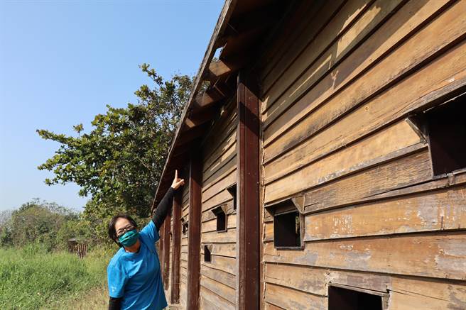 台南市官田水雉生態教育園區目前有5座木製賞鳥亭、1間生態教室，屋頂都已腐朽待修，整修需250萬元。(劉秀芬攝)