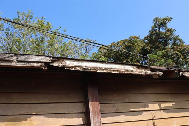 台南市官田水雉生態教育園區目前有5座木製賞鳥亭、1間生態教室，屋頂都已腐朽待修，整修需250萬元。(劉秀芬攝)