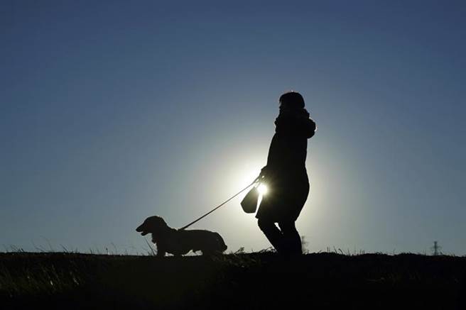 日本时隔约4个半月，全境单日新增确诊再逾2万例，且从逾万例到逾2万例仅花2天，整体疫情急速扩散。图为日本民眾出门遛狗。（图／美联社）