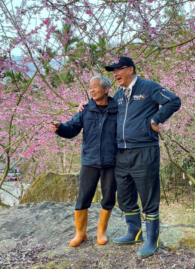 云林县府工务处长汪令尧（右）日前上山到草岭巡视停车场工程，刚好碰上青山坪农场樱花盛放，他和青山坪农场主人王清连（左）不约而同穿着雨鞋在美景中工作，两人难得合影，笑容洋溢着惬意的心情。（汪令尧提供）
