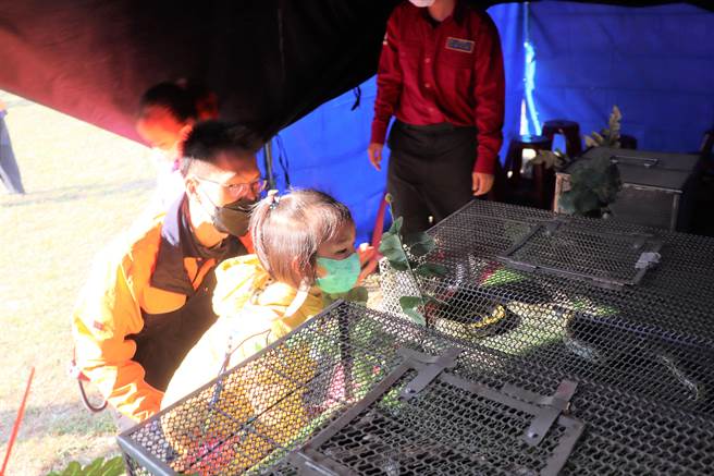 野外安全停看聽體驗把毒蛇搬到活動現場。（劉秀芬攝）