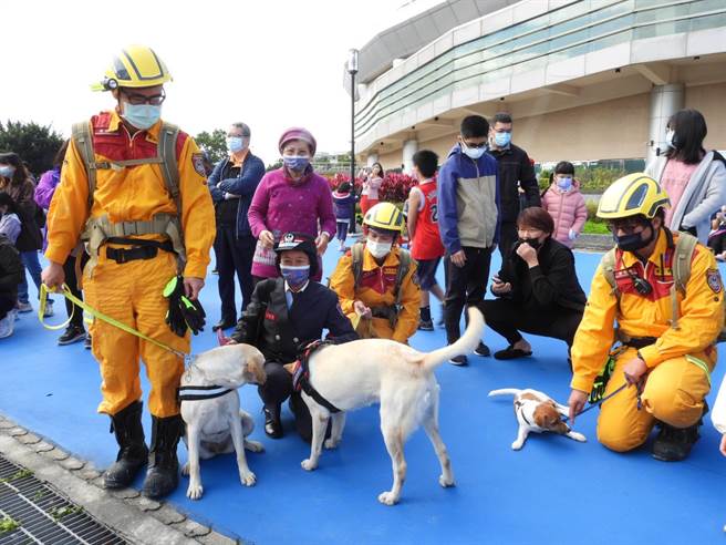 花蓮3隻搜救犬今在119消防節慶祝活動首度亮相，萌樣吸引許多民眾圍觀。（羅亦晽攝）
