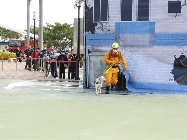 花蓮3隻搜救犬今在119消防節慶祝活動首度亮相，並一同參與模擬大地震的救災演習。（羅亦晽攝）
