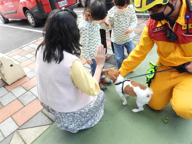 花蓮3隻搜救犬今在119消防節慶祝活動首度亮相，萌樣吸引許多小朋友圍觀。（羅亦晽攝）