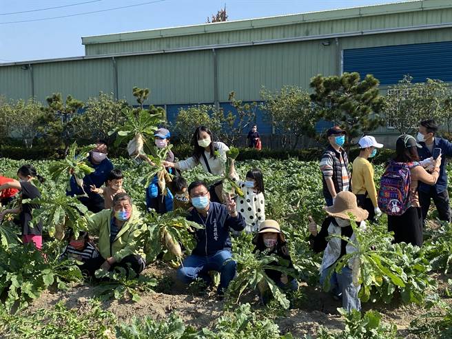 嘉义县新港乡月眉社区发展协会16日举办拔萝卜食农教育活动，大人小孩体验拔萝卜乐趣。（廖素慧摄）
