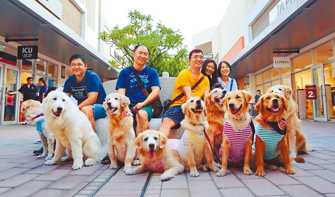 为了因应现代社会的需求，提升宠物的福祉与健康，及要更好的管理宠物产业，农委会主委陈吉仲在脸书指出，农委会将成立台湾史上首个宠物专责单位「宠物管理科」，已获行政院同意设立。（本报资料照片）