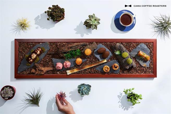 （CAMA COFFEE ROASTERS豆留森林推出「甜點庭園 ． 藝伎雙人午茶組 」，內有8款主廚自製甜點。圖／CAMA COFFEE ROASTERS豆留森林提供）
