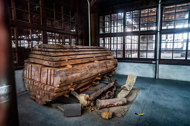 嘉义制材所内陈列巨木如何被裁切成木材。(图／林旻萱)