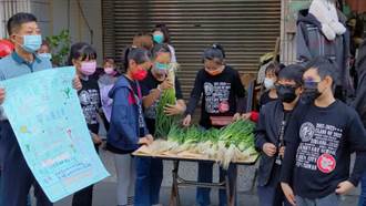 台南佳里學童種蔥賣蔥 為孤老籌年菜基金