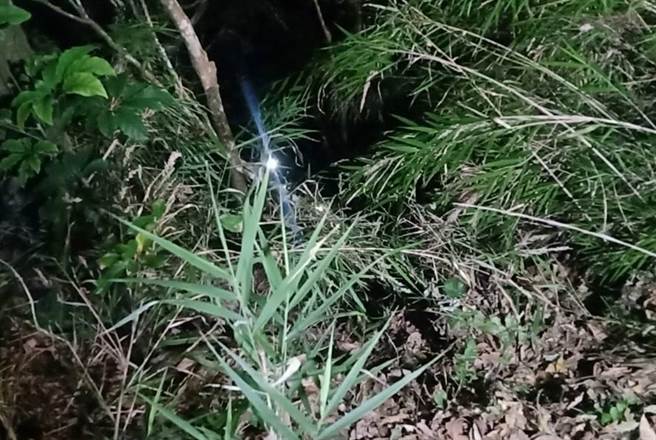 跌落深谷的洪姓男子，以手機鏡頭閃光顯示自己的位置。（台中市太平警分局提供／馮惠宜台中傳真）